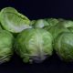 brussels sprouts, green, round