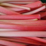 rhubarb, stalk, red