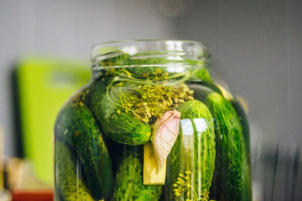 pickled cucumbers, silage, cucumber