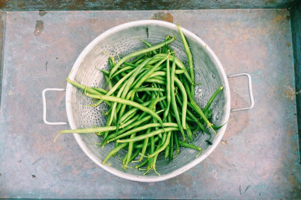 beans, green beans, string beans