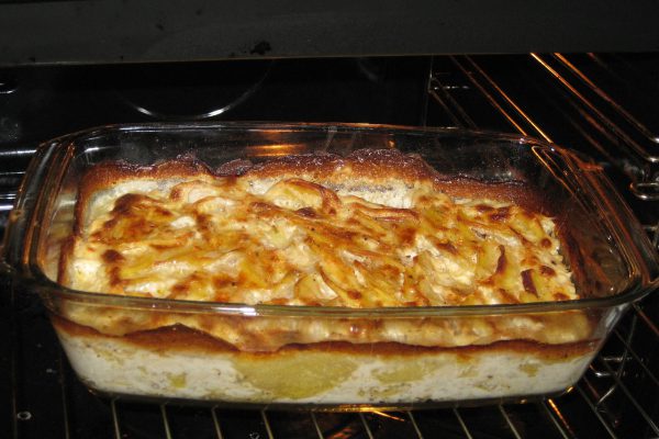 potato gratin, meal, oven