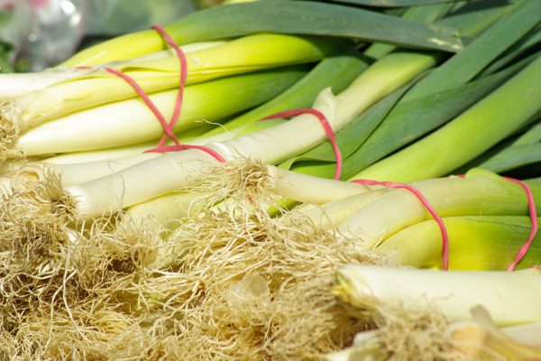 leeks, vegetables, vegetable garden