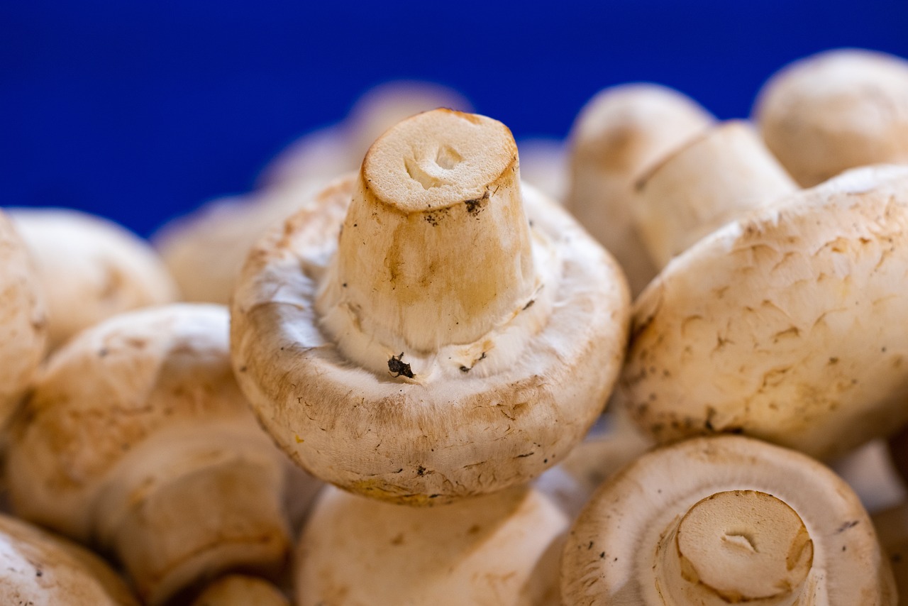 mushrooms, button mushrooms, vegetables