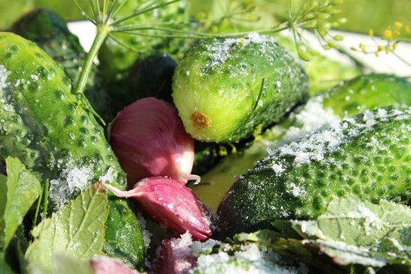 cucumbers, salt, garlic