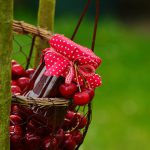 cherries, cherry jam, nature