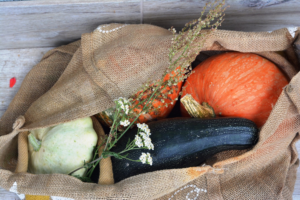 pumpkin, courgette, patison