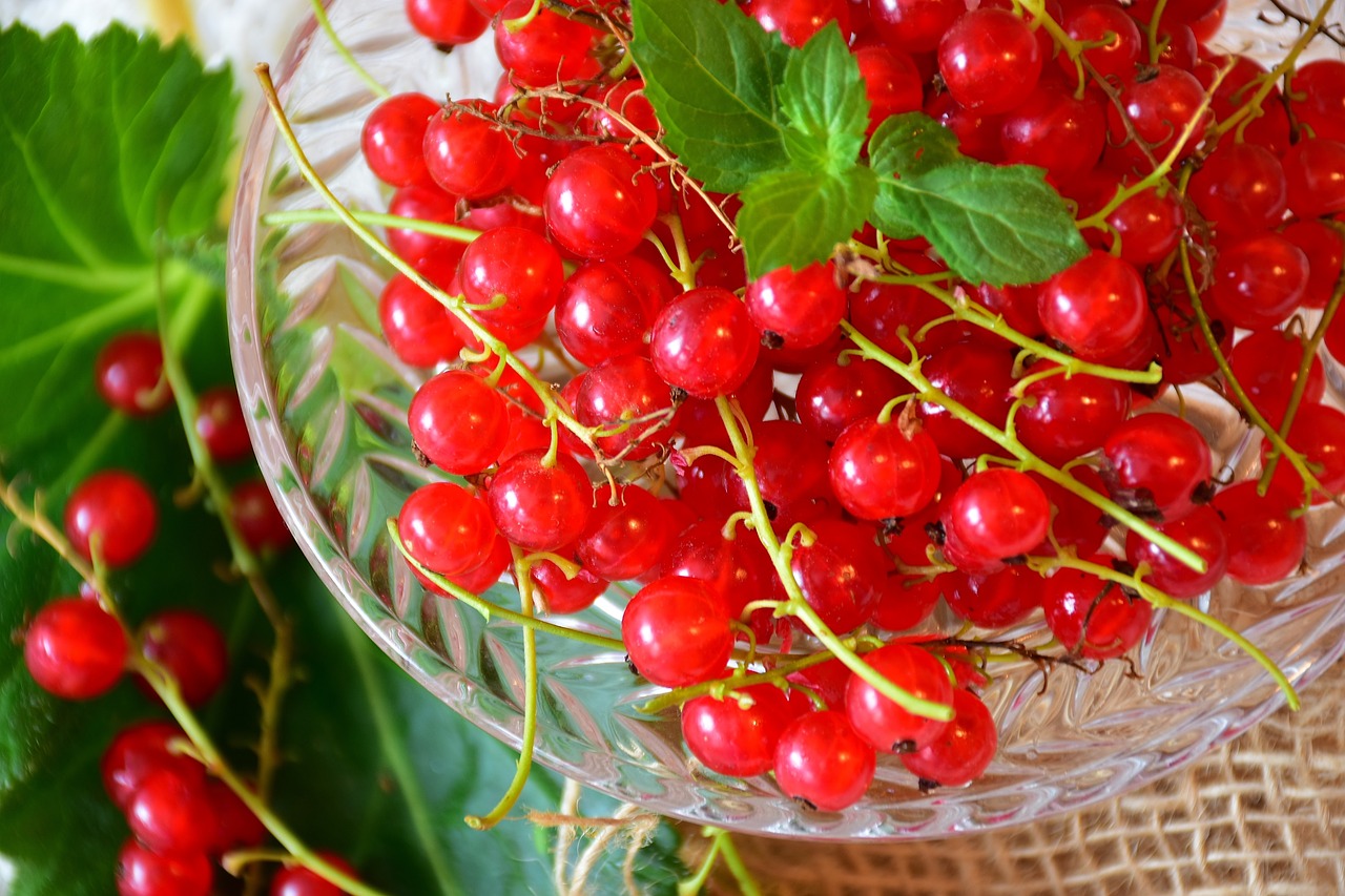 currants, red, red currant