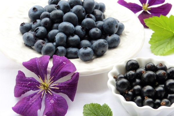 blueberries, black currants, clematis