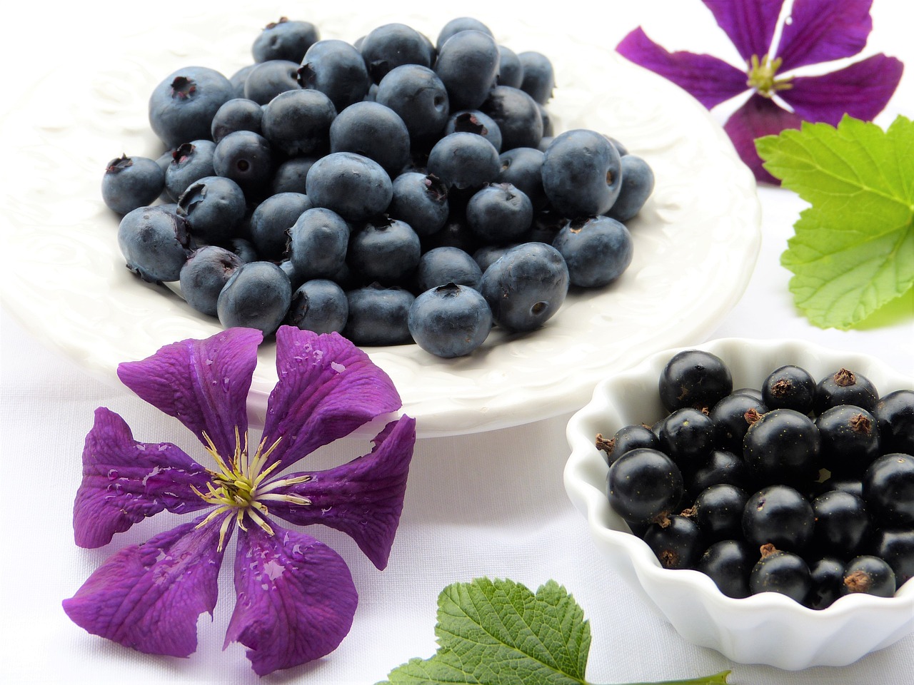 blueberries, black currants, clematis