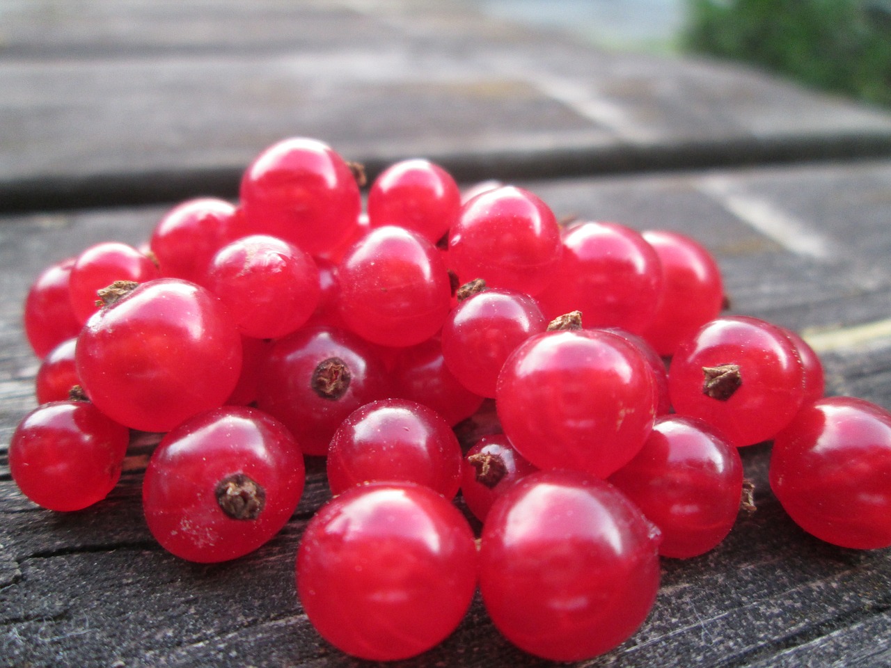 redcurrants, many currants, nature