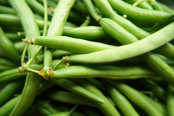 green beans, vegetables, garden