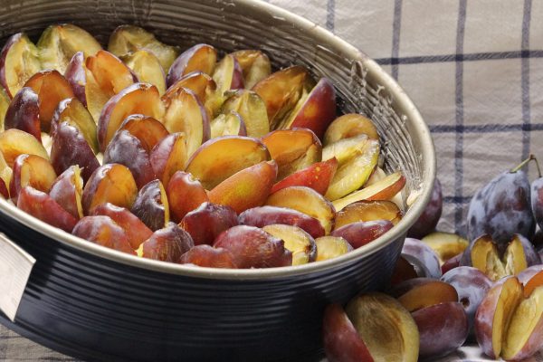 plum cake, springform pan, preparation