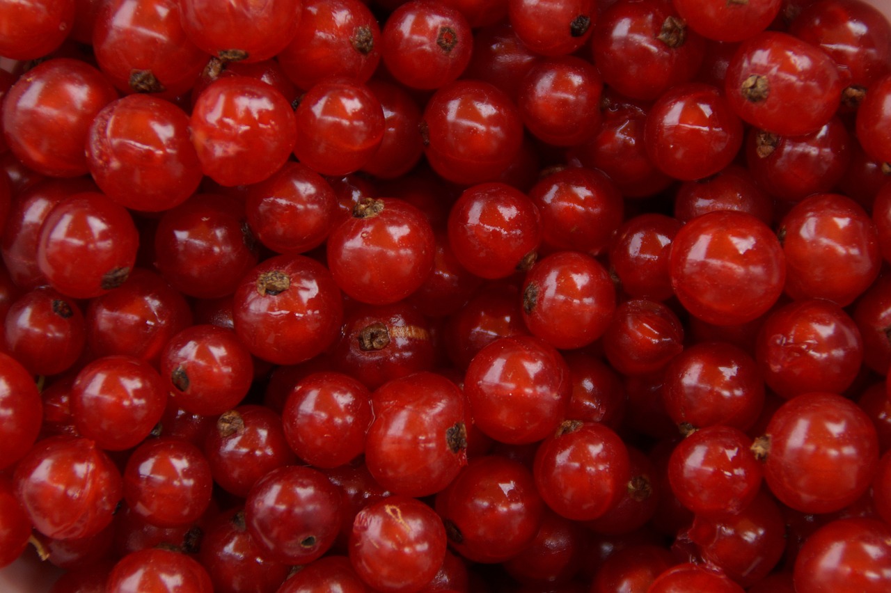 currants, berry, fruit