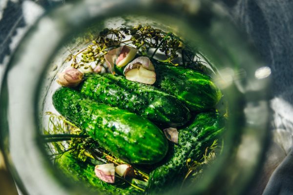 pickled cucumbers, silage, cucumber