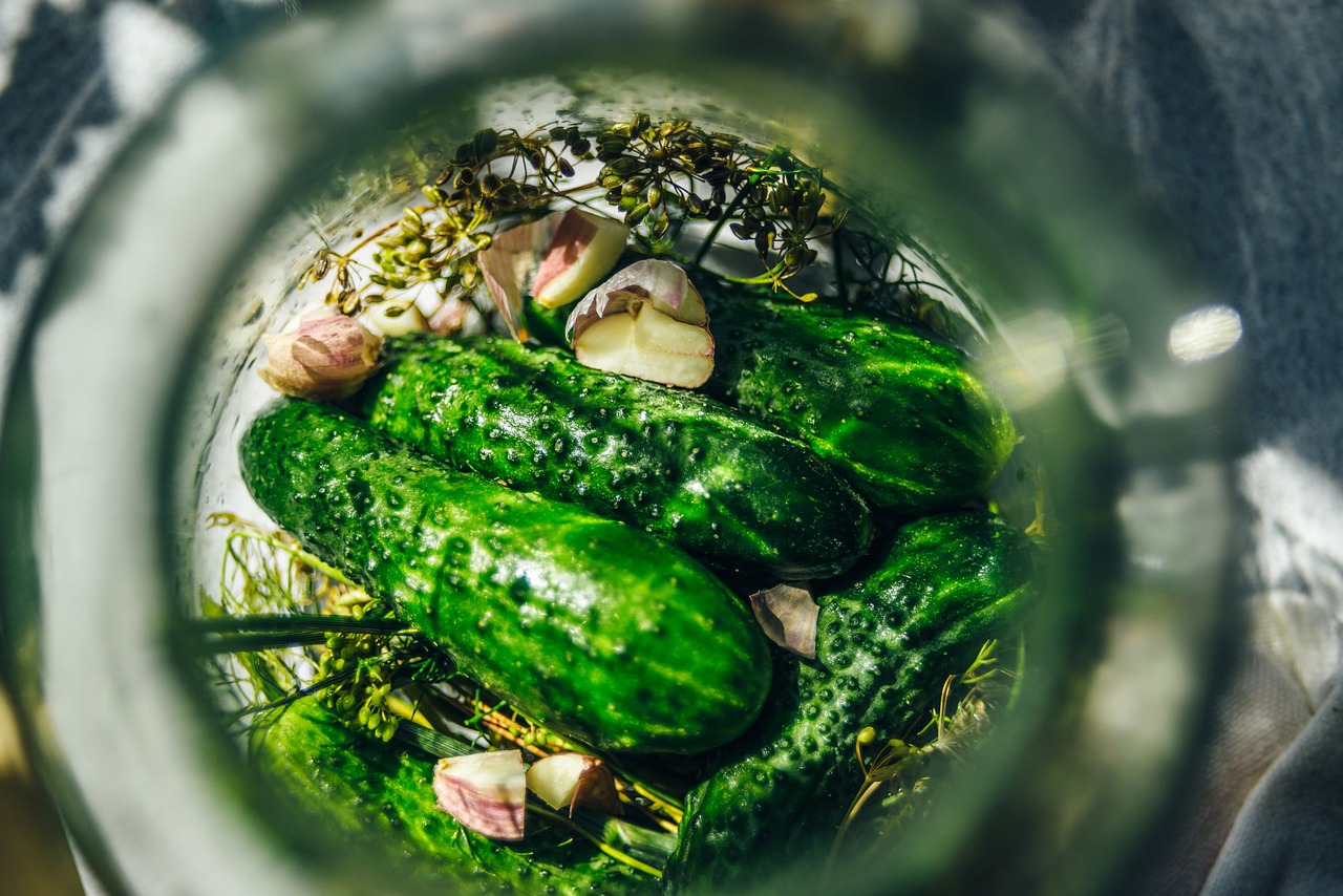 pickled cucumbers, silage, cucumber