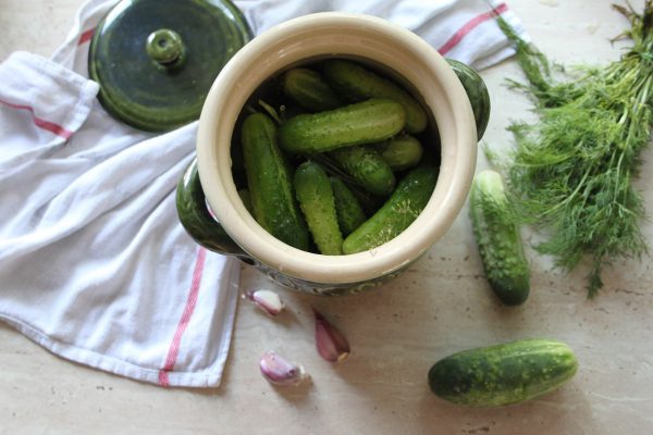 cucumbers, kiszenie, małosolne