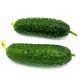 cucumbers, isolated, floral background
