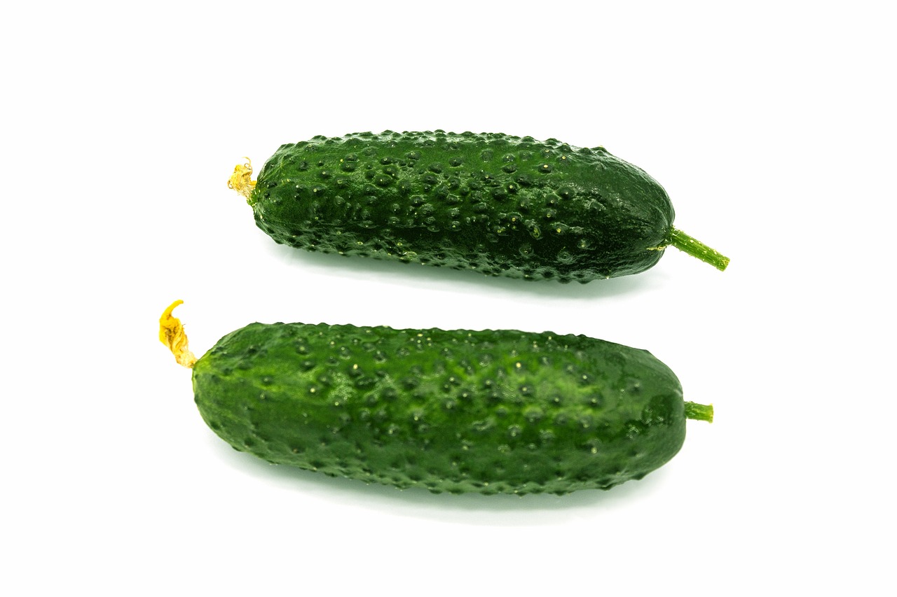 cucumbers, isolated, floral background