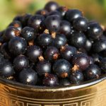 currants, berries, fruits