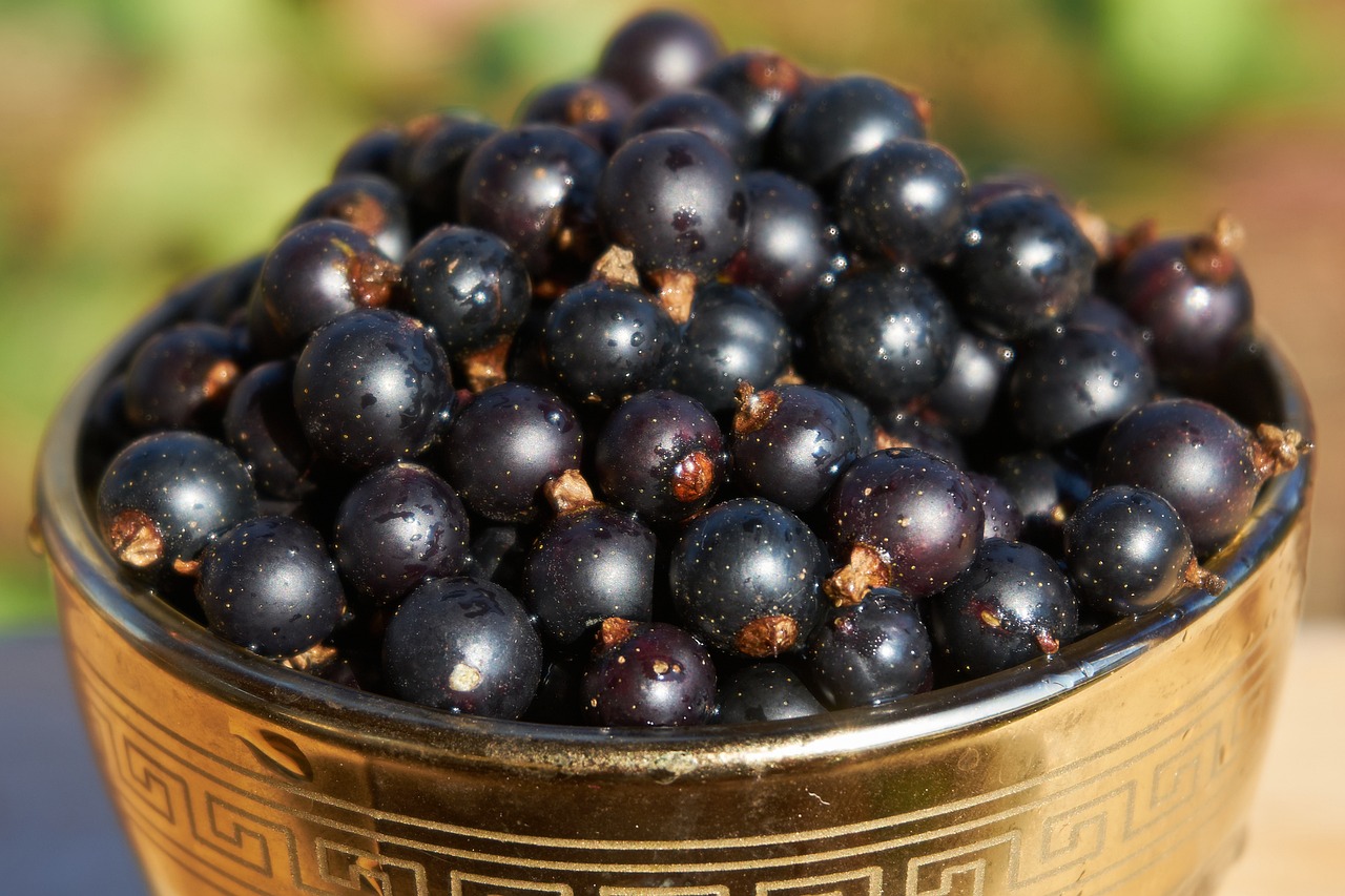 currants, berries, fruits