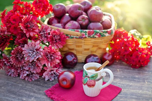 apples, apple cider, fruits