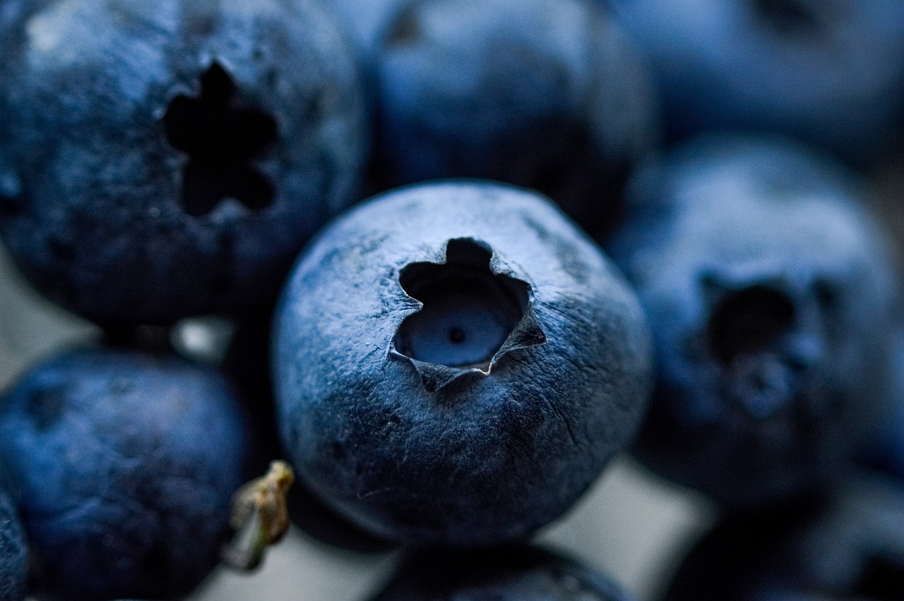 blueberries, berry, blueberry