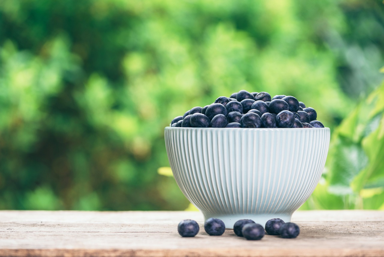 blueberry, fruits, garden