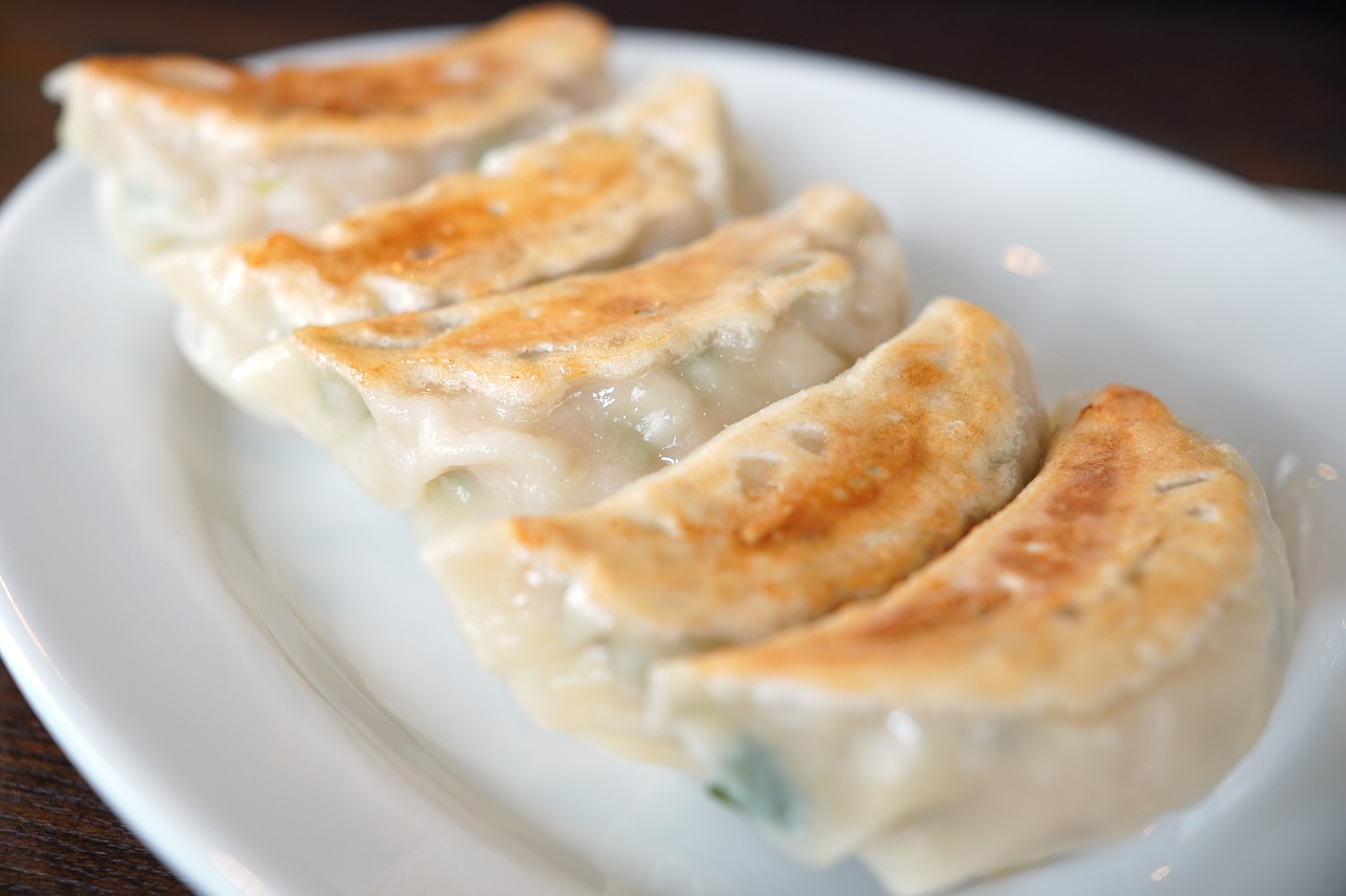 gyoza, grilled dumplings, japanese food