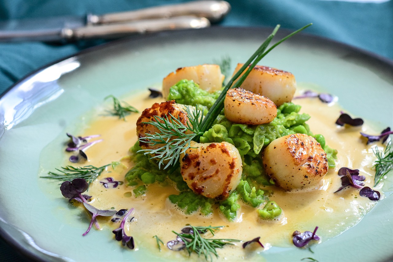 scallops, seafood, shellfish