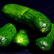 cucumber, vegetable, organic