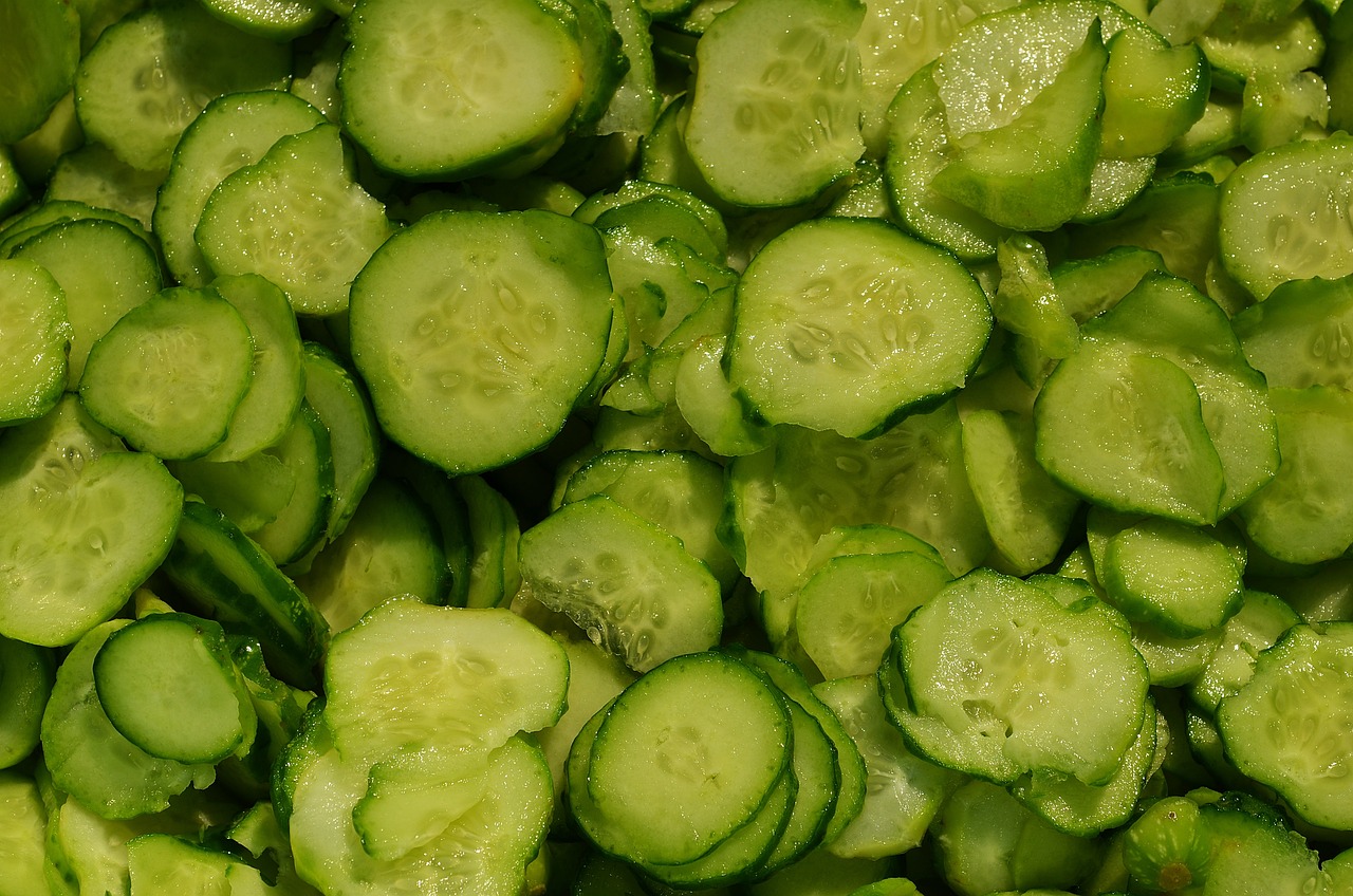 cucumbers, salad, cucumber salad