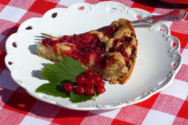 currant cake, table, canvas