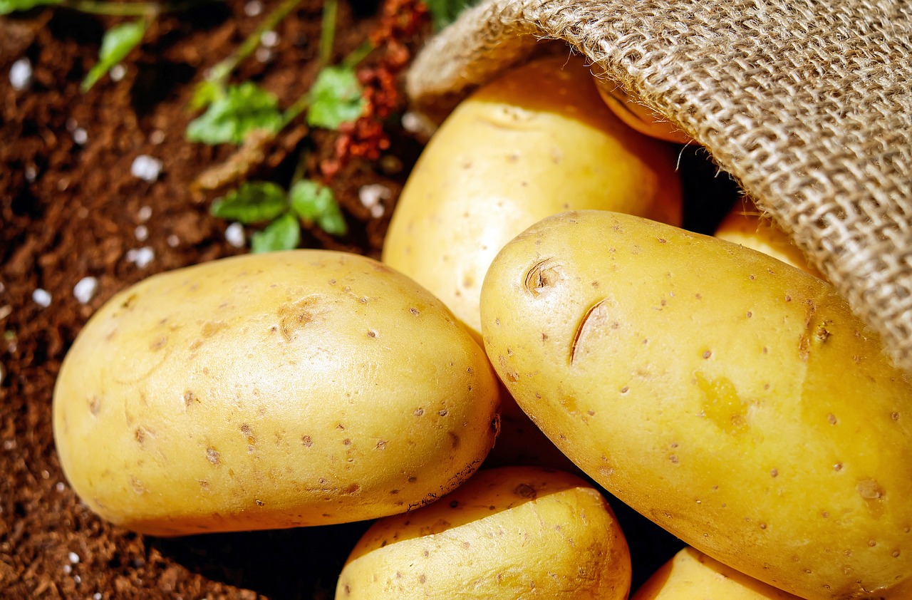 potatoes, vegetable, food