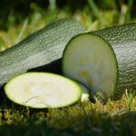 zucchini, vegetables, harvest