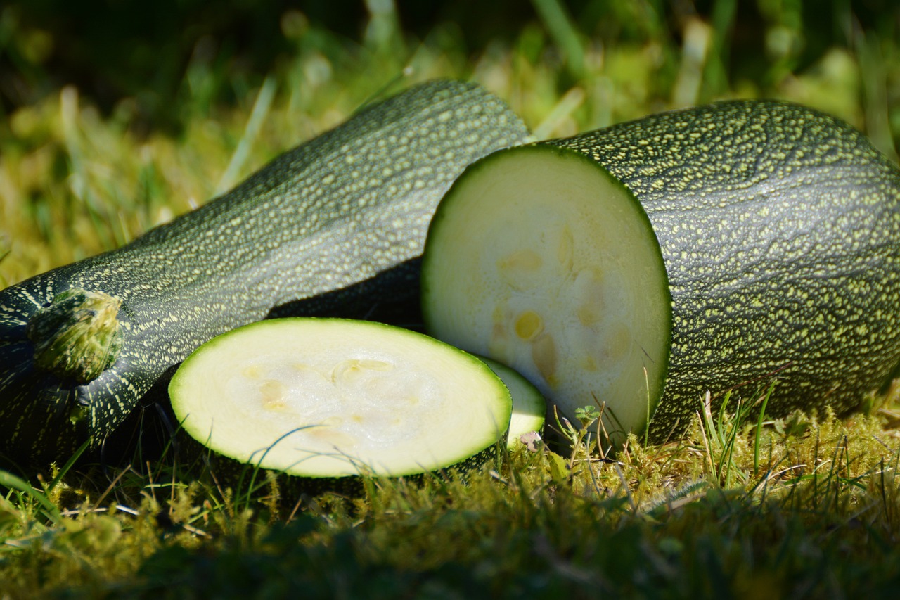 zucchini, vegetables, harvest