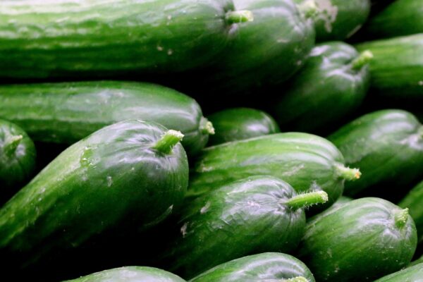 vegetable, healthy, cucumber