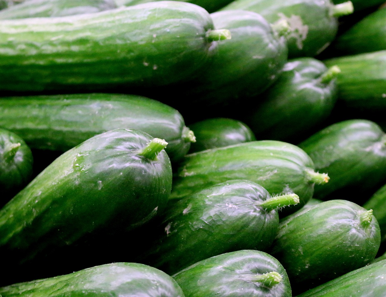 vegetable, healthy, cucumber