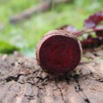 beetroot, red, beet