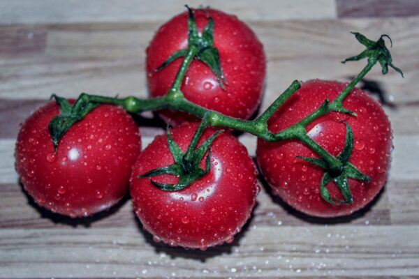 tomatoes, vegetables, food