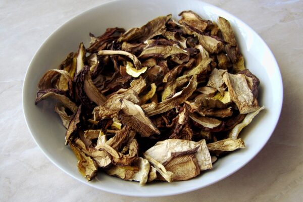 mushrooms, dried, autumn